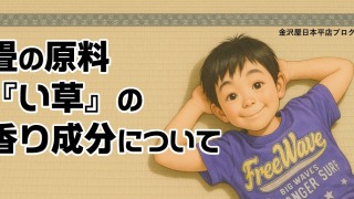畳の原料『い草』の香り成分について　タイトル画像